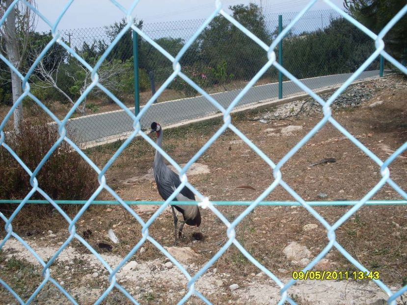  - 2011 Paphos