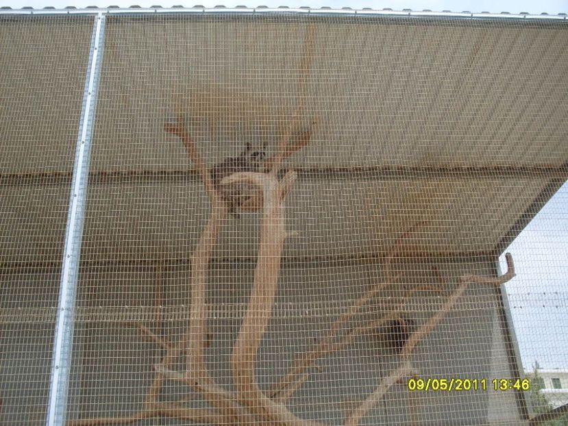  - 2011 Paphos