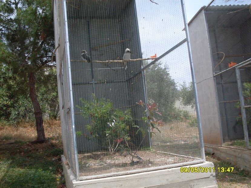  - 2011 Paphos