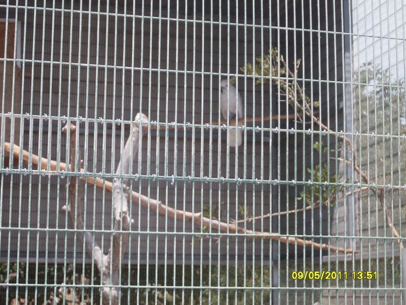  - 2011 Paphos