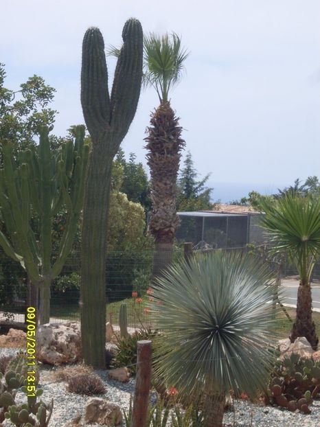  - 2011 Paphos