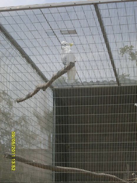 - 2011 Paphos