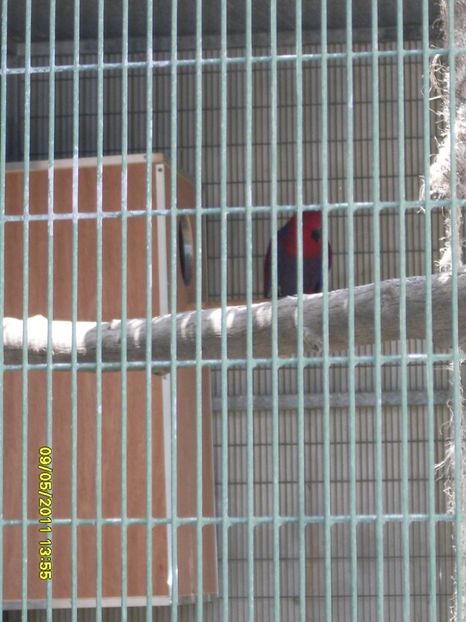  - 2011 Paphos