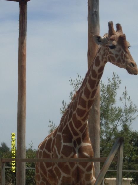  - 2011 Paphos