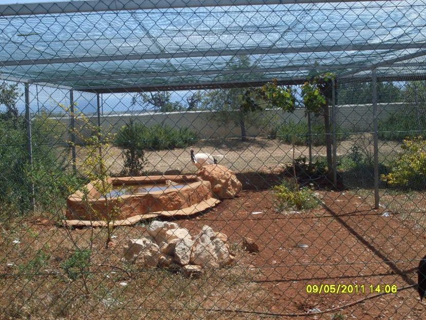  - 2011 Paphos