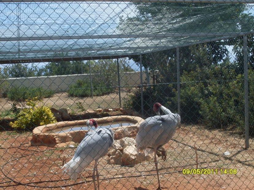  - 2011 Paphos
