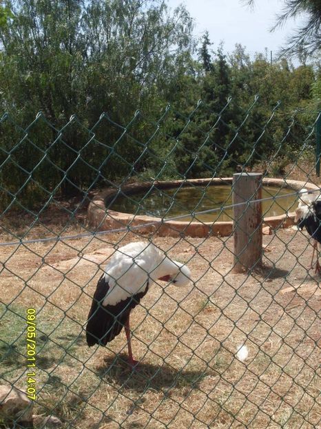  - 2011 Paphos