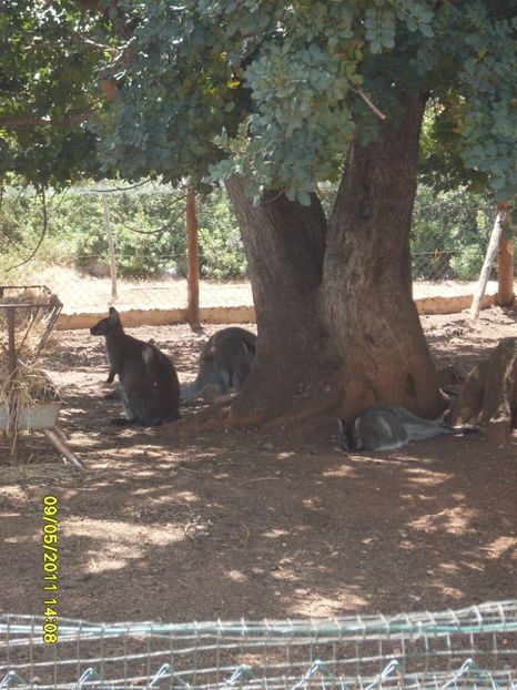  - 2011 Paphos