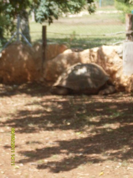  - 2011 Paphos