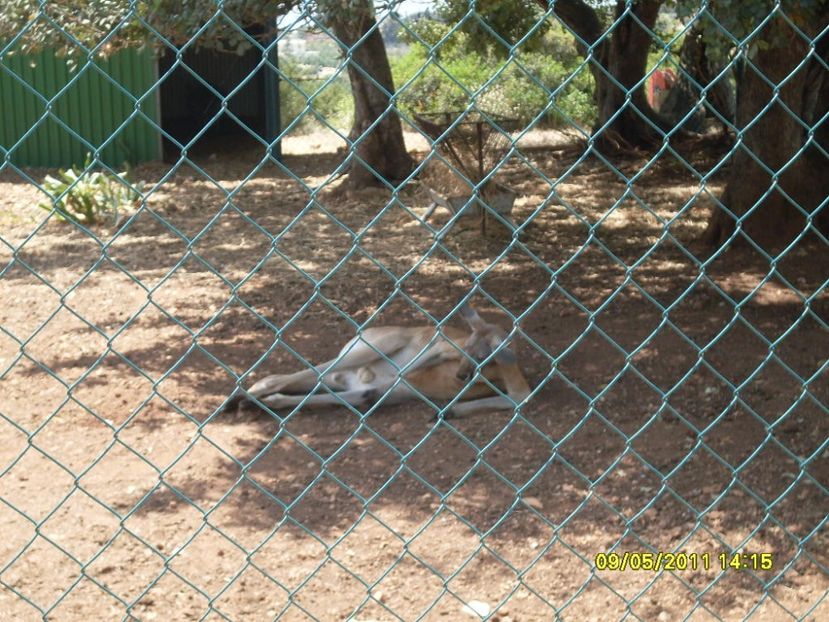  - 2011 Paphos
