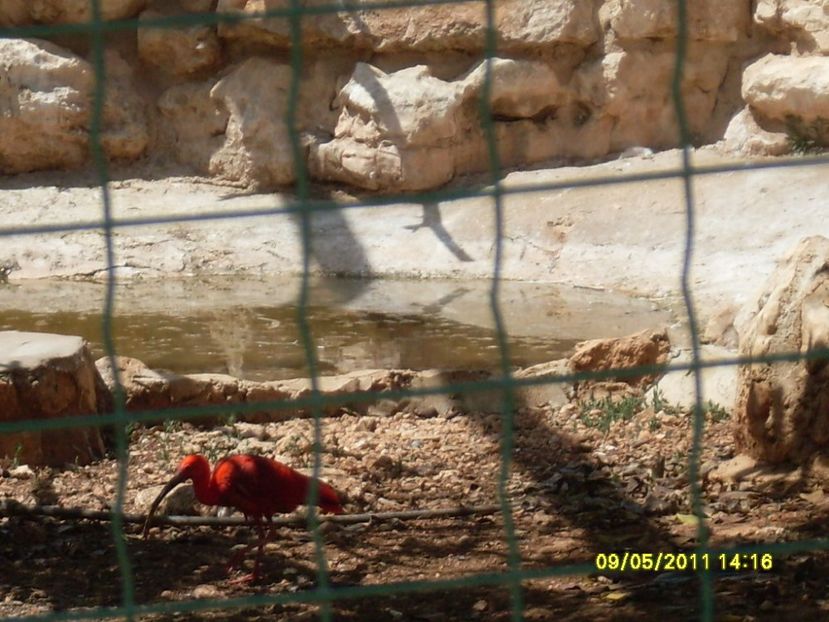  - 2011 Paphos