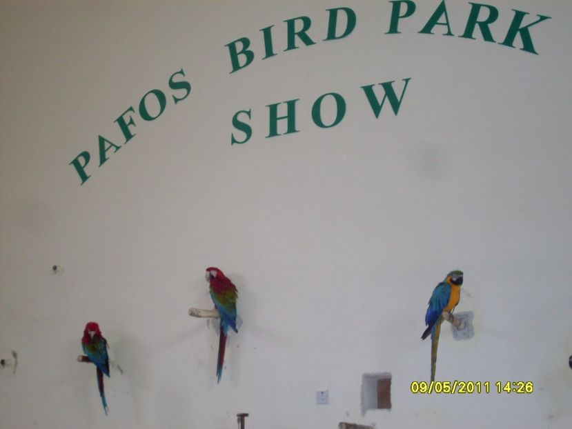  - 2011 Paphos