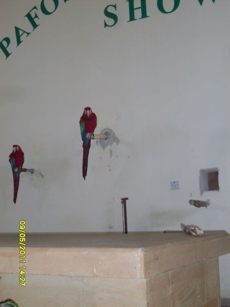  - 2011 Paphos