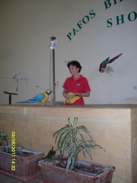  - 2011 Paphos