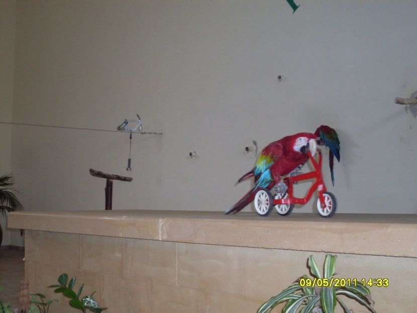  - 2011 Paphos