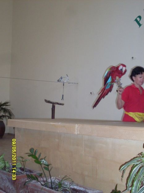  - 2011 Paphos