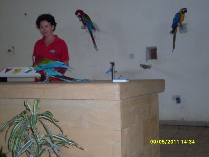  - 2011 Paphos