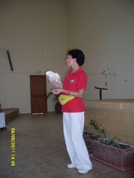  - 2011 Paphos