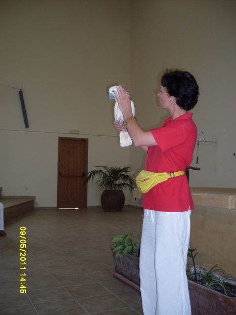  - 2011 Paphos