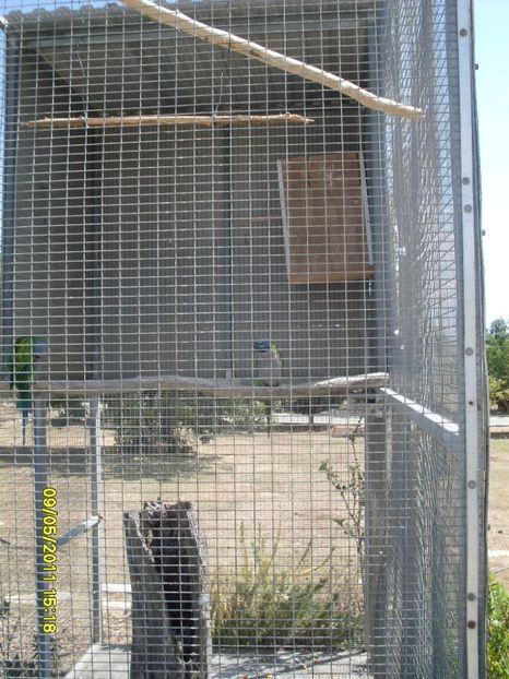  - 2011 Paphos
