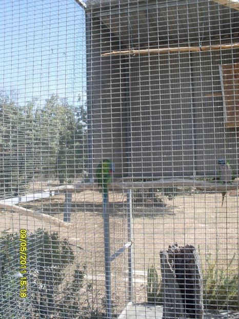  - 2011 Paphos