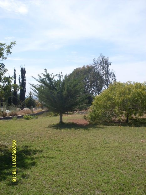  - 2011 Paphos