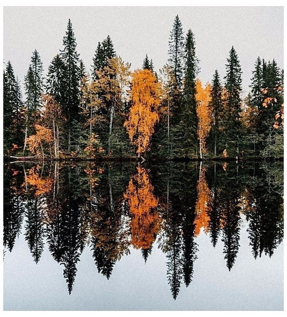 ♡ November 19 » „I m dying to catch my breath, oh why don t I ever learn? I ve lost all - Tomnatic și nostalgic