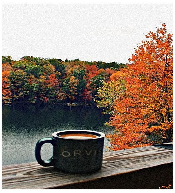 ♡ November 20 » „Stood up the cold face, stood with our backs to the sun. I can t remember - Tomnatic și nostalgic