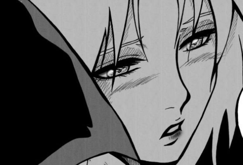 11946871-ADFC-4451-A52B-90C66E59A371 - 01-01 sasusaku