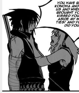 B8AC88FA-9453-4AC0-B16D-180AF9DD5CFF - 01-01 sasusaku