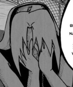 4453EC8B-34E5-4BFF-9EA5-F89571CEDC56 - 01-01 sasusaku