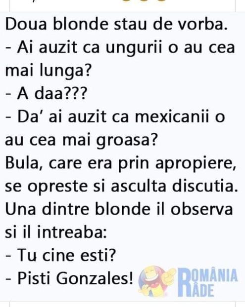  - Divertisment 6