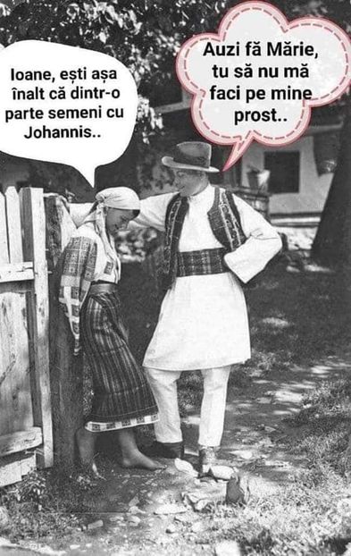  - Divertisment 6
