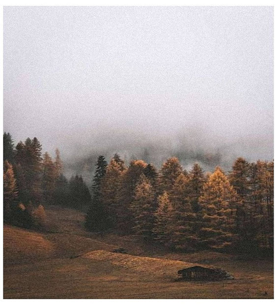 ♡ November 21 » „You re so cynical, narcissistic cannibal.. got to bring myself back from the dead.” - Tomnatic și nostalgic