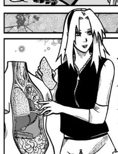 1A79E5F3-8A6D-4674-B45D-ABFE9041D468 - 01-02 sasusaku