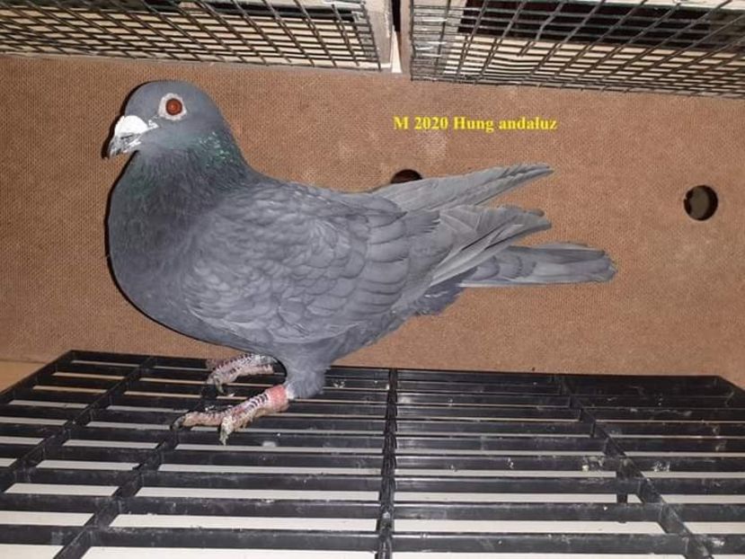  - Nu îmi aparțin 3