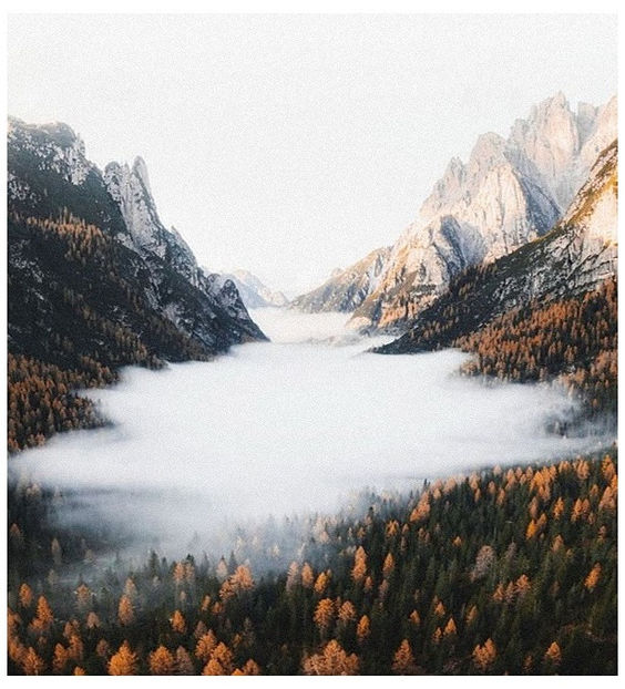 ♡ November 22 » „Give a little time to me or burn this out, we ll play hide and seek to - Tomnatic și nostalgic