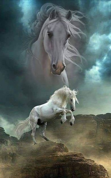  - Cai animale nobile