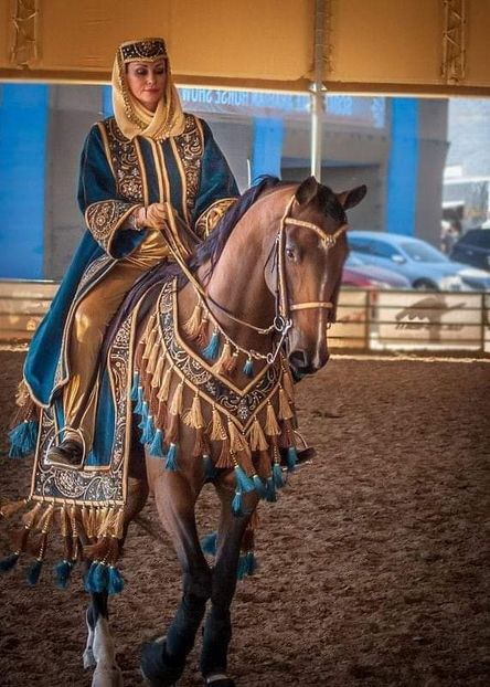  - Cai animale nobile