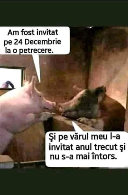  - Divertisment 6