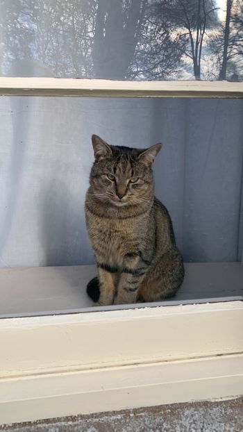 Papusul og - x what would mu sama say