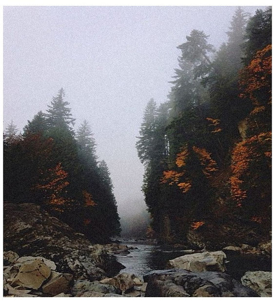 ♡ November 25 » „We keep this love in a photograph, we made these memories for - Tomnatic și nostalgic
