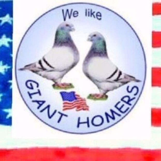 Perechea Nr.1 - 6--- Perechi AGH Matca 2025