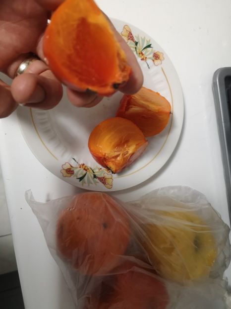  - Arbori fructiferi 2021