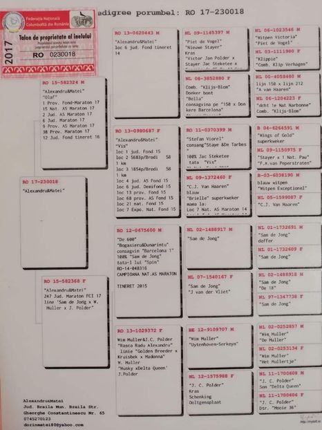 300 lei - 8-DE VANZARE