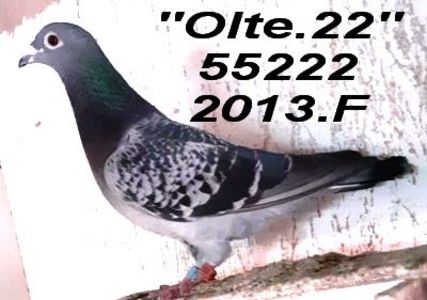 2013-055222.F.f - 2 MATCA 2022