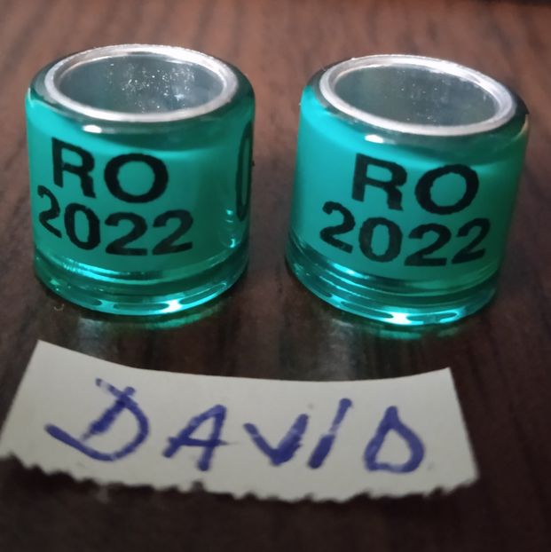 Inele vechi - 8 mm....- 50 bani - Inele 2014