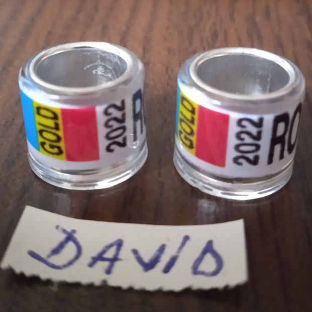 2022-Alb gold-8 mm....-1 leu - Inele 2014