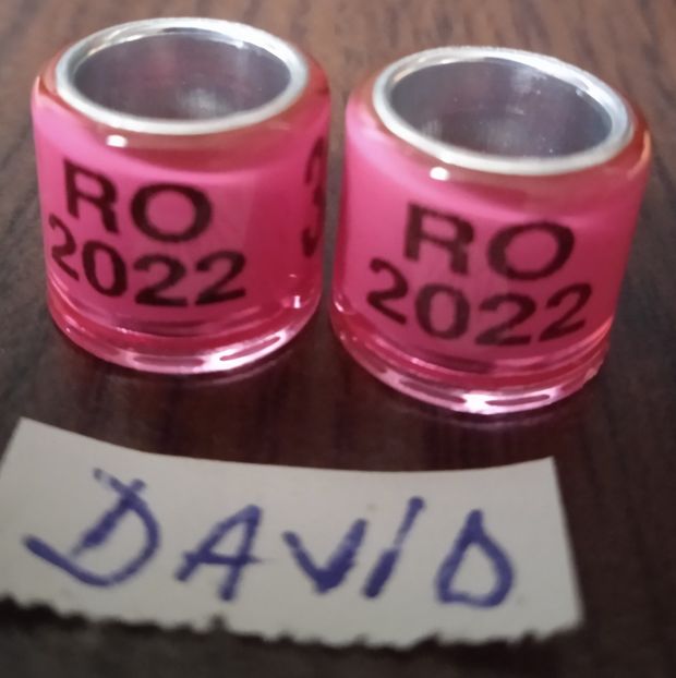 2022-Roz-8 mm....-1 leu - Inele 2014