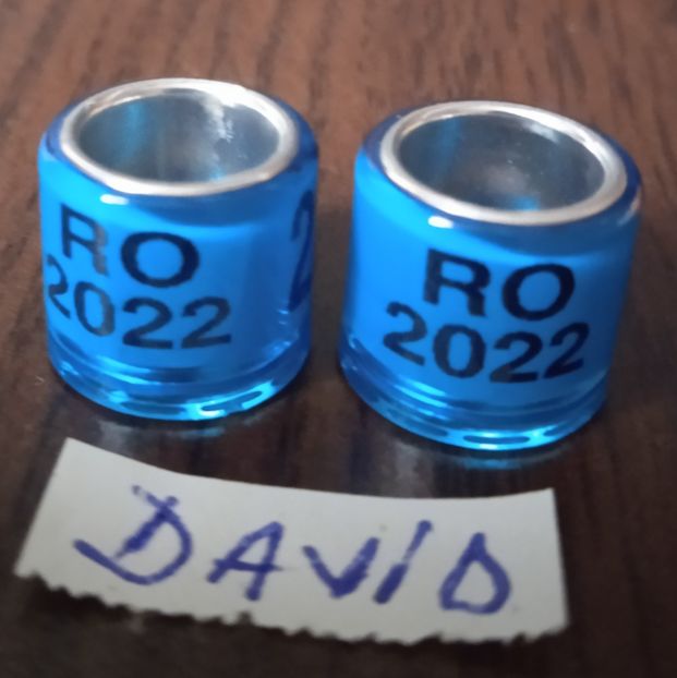 2022-Albastru- 8 mm....-1 leu - Inele 2014